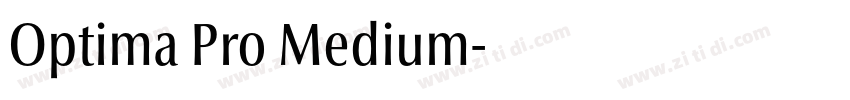 Optima Pro Medium字体转换